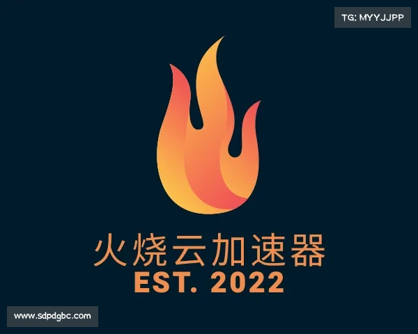 了解火烧云加速器